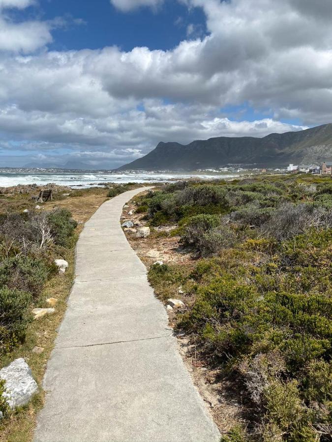 Shore'S Edge Luxury Oceanfront Home Hermanus Exterior photo